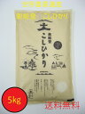 ＊注文のキャンセルは不良品・商品違い以外は受け付けません。 ＊納期の目安は注文から3-7日です。（休業日含まず。） ＊納期のお問い合わせは注文前にお願いします。 ＊メールで返信希望の場合はshop@waso-komono.comの受信設定をお願いします。送料無料 奥能登産こしひかり5kg お米 米 日本 米穀 産地直送 直送便 保存 災害 備蓄 非常用 白米 精米 家庭用 主食 ライス ごはん お弁当 おにぎり 和食 国産米 コメ ブランド米 高品質 自炊 仕送り 安心 お米マイスター ブランド米奥能登産こしひかりの美味しいお米 奥能登産こしひかり 石川県の奥能登で手塩にかけて育てたコシヒカリをお届けします。お米は同じ品種でも気候条件によって食味に違いが出ます。奥能登は新潟県南魚沼地区と同様の良食味地帯です。南魚沼地区とほぼ同緯度で、中山間地特有の昼夜の気温差、湧き水が良食味を生み出すといわれています。 消費期限 精米日のみ表示保存方法 常温 商品※実物と色味の差が生じる場合がございます。ご了承ください。※賞味期間および消費期間は、製造日または加工・出荷日を基準に記載しております。※産地の収穫・漁獲・天候等の事情により、お届け日を変更させていただく場合がございます。※離島など一部の地域へお届けできない場合がございます。※年末年始・お盆・5月連休は休業のため、商品のお届けが遅れる場合があります。※お届け日、お届け時間の指定はできません。※商品内容として記載されていない小物類は、お届けする商品には含まれておりません。※メーカー事情により、新パッケージの商品をお届けする場合がございます。パッケージについては変更になる場合がございます。注意事項：※すべて平置きサイズです。 採寸方法や素材により、多少の誤差がございますのでご了承ください。※モニターの都合上、掲載写真と実際の色が異なる場合がございます。※海外製造商品により、多少の糸ホツレ・汚れのある場合がございます。※商品ラベル・洗濯ネームがない物、日本語表記でない場合がございます。※在庫が他店舗と連動しているため、稀にご注文を受付けた後に、在庫切れになってしまう場合がございますので、その際に弊店から速やかにご連絡致します。※返品条件と販売要求と上記内容をあらかじめご了承頂き、お買い物宜しくお願い致します。＊注文のキャンセルは不良品・商品違い以外は受け付けません。＊納期の目安は注文から3-7日です。（休業日含まず。）＊納期のお問い合わせは注文前にお願いします。＊メールで返信希望の場合はshop@waso-komono.comの受信設定をお願いします。 販売元からの直送となります 3