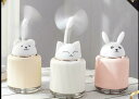 加湿器 卓上 おしゃれ オフィス usb ハイブリッド加湿器 250ml 連続加湿 気化式 車用加湿器 おしゃれ かわいい 電源不要 うさぎ ねこ くま パソコ...