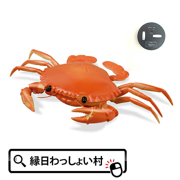甲殻類 みんな探してる人気モノ 甲殻類 ホビー 甲殻類 みんな探してる人気モノ 甲殻類 ホビー
