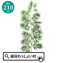 七夕 七夕飾り バンブーツリー 2100mm 210cm Bamboo Tree 笹 簡単 便利 造花 人工 インテリア 飾り 装飾 天の川 彦星 織姫 星 お...