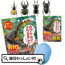 学研の図鑑ライブ カブトムシ・クワガタムシBIGバスボール さわやかな空の香り 学研 図鑑 お風呂で学べる マスコット バスボール 色 香り お風呂 風呂 入浴 入浴剤 入浴料 バス バスタイム キッズ 家族 プレゼント お祭り 夏祭り 縁日 おもちゃ クリスマス