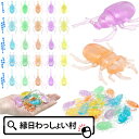 【150個セット】クリスタル昆虫ミニフィギュアコレクション つかみ取り 景品玩具 お祭り 景品 玩具 縁日景品 縁日 おもちゃ 玩具 カブトムシ クワガタ 参加賞 おまけ くじ引き景品 子供会景品 お子様ランチ 問屋