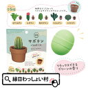 サボテン バスボール リラックスできるグリーンの香り 写実 サボテン レトロ リアル マスコット バスボール お風呂 風呂 入浴 入浴剤 入浴料 バス バスタイム 子ども こども 大人 家族 プレゼント お祭り 夏祭り 縁日 おもちゃ オモチャ 玩 【13時までの注文で当日発送】
