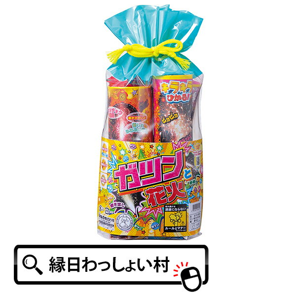 ガツンと花火 NO.30 手持ち花火 手持ち 噴出花火 噴き出し花火 子供会 子ども会 夏休み イベント グッズ パーティー 花火大会 はなび ハナビ hanabi 販促 景品 お祭り 縁日 ハナビセット 花火セット 夏祭り キャンプ 庭 屋外 遊び