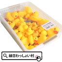 うきうきアヒル 300個入 カゴ入 ぷかぷか あひる すくい用 すくい人形 すくい すくい用品 浮く 縁日用品 縁日 お祭り 景品 玩具 おもちゃ スーパーボー...