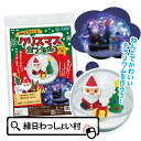 ねんどでつくるクリスマスカプセル 粘土 テラリウム イルミネーションライト クリスマス Christmas Xmas キット セット 図工 工作 図画工作 自由...