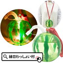 【5個セット】光るスイカボトル 約500ml 光るジュース ボトル 光るボトル 光る 光るおもちゃ 立体ボトル 人気 スイカ 子供会 景品 ドリンク容器 飲料容...
