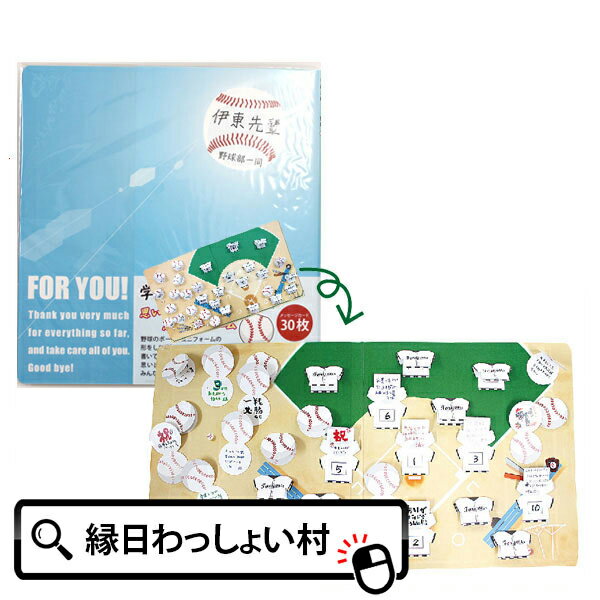 学校色紙2 野球 ベースボール 色紙 寄せ書き メッセージ 学校 卒業 転校 部活動 スポーツ 引退 生徒 先生 小学校 小学生 中学校 中学生 高校 高校生 ...