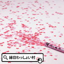 スーパーラブボム10個セット クラッカー バレンタイン ハート 紙吹雪 二次会 結婚式 イベント パーティー 盛り上がる キュート 演出 きれい かわいい