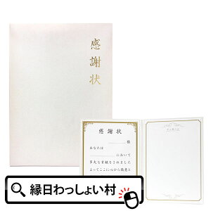 感謝状色紙 メッセージ 寄せ書き ありがとう 感謝 気持ち 表彰 友達 先輩 先生 同僚 上司 卒業 学校 サプライズ おもしろい プレゼント 初売り