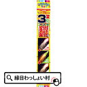 【単価63円(税別)×10個セット】送料無料 手持ち花火 パ...