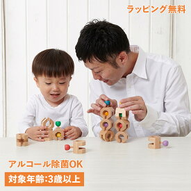 Ed・Inter エドインター 積み木 ブロック Cobit-12pieces- 3歳から 知育玩具 おもちゃ 木のおもちゃ エド・インター 男の子 女の子 820070