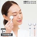FESTINO フェスティノ フェイシャル スキントリートメント 美顔器 音波振動 USB充電式 コンパクト SMHB-022