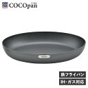 【特典付き】 COCOpan 極SONS ココパン フライパン プレミアムステーキ IH ガス対応 鉄 リバーライト C108-001 アウトドア