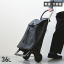 ROLSER 365 methods SHOPPING CART JOY ロルサー ショッピングカート キャリーカート ショッピングバッグ 365メソッド ジョイ メンズ レディース 36L 折りたたみ 大容量 軽量 撥水加工 ダーク グレー オレンジレッド