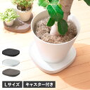 tidy PLANTABLE L ティディ プランタースタンド 鉢台 鉢皿 ホームキャリー プランタブル ラージ 屋内 キャスター付き 大きい ブラック ホワイト ブラウン 黒 白OT-668-101