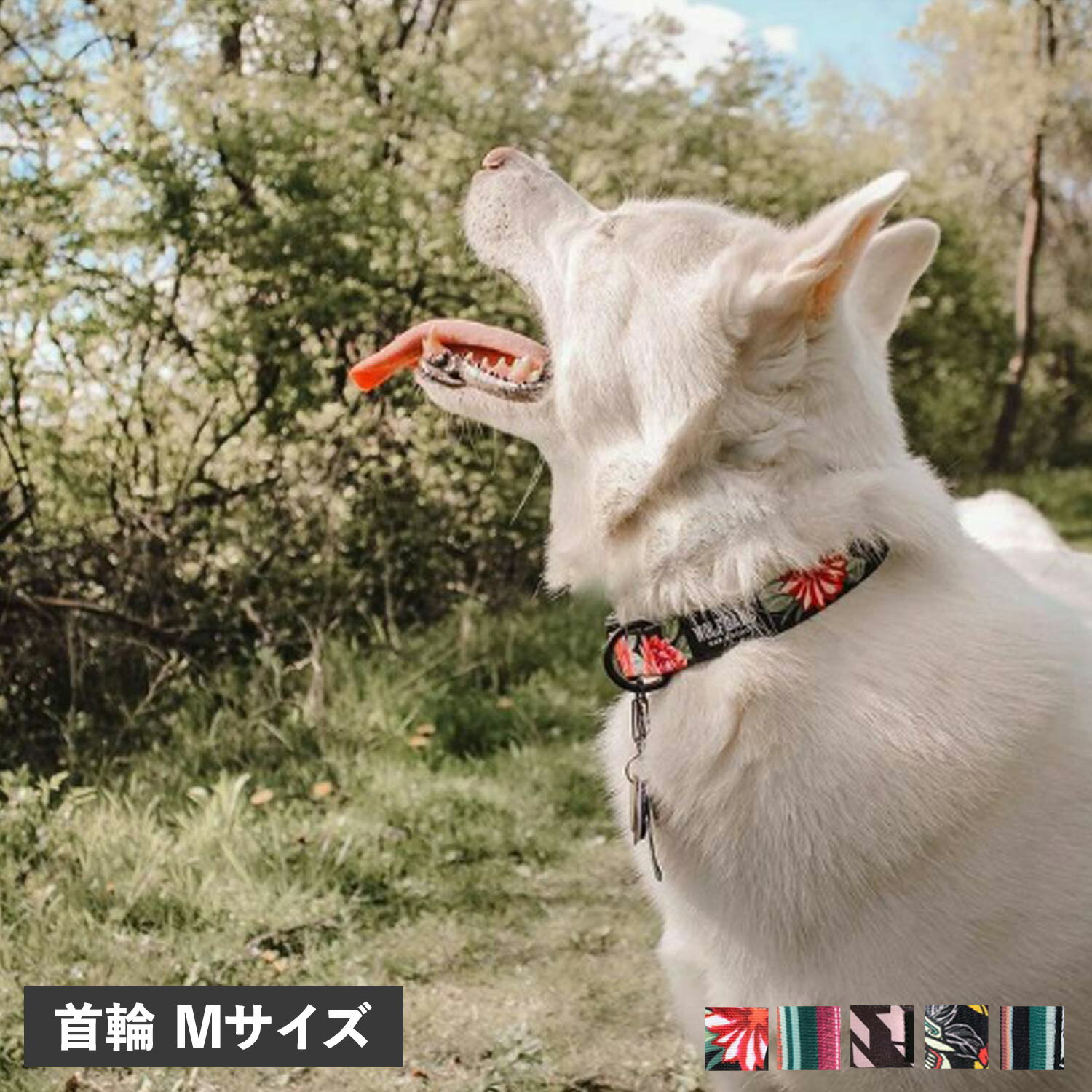  WOLFGANG COLLAR ウルフギャング 首輪 中型犬 Mサイズ 首輪犬 カラー マン&ビースト MAN&BEAST