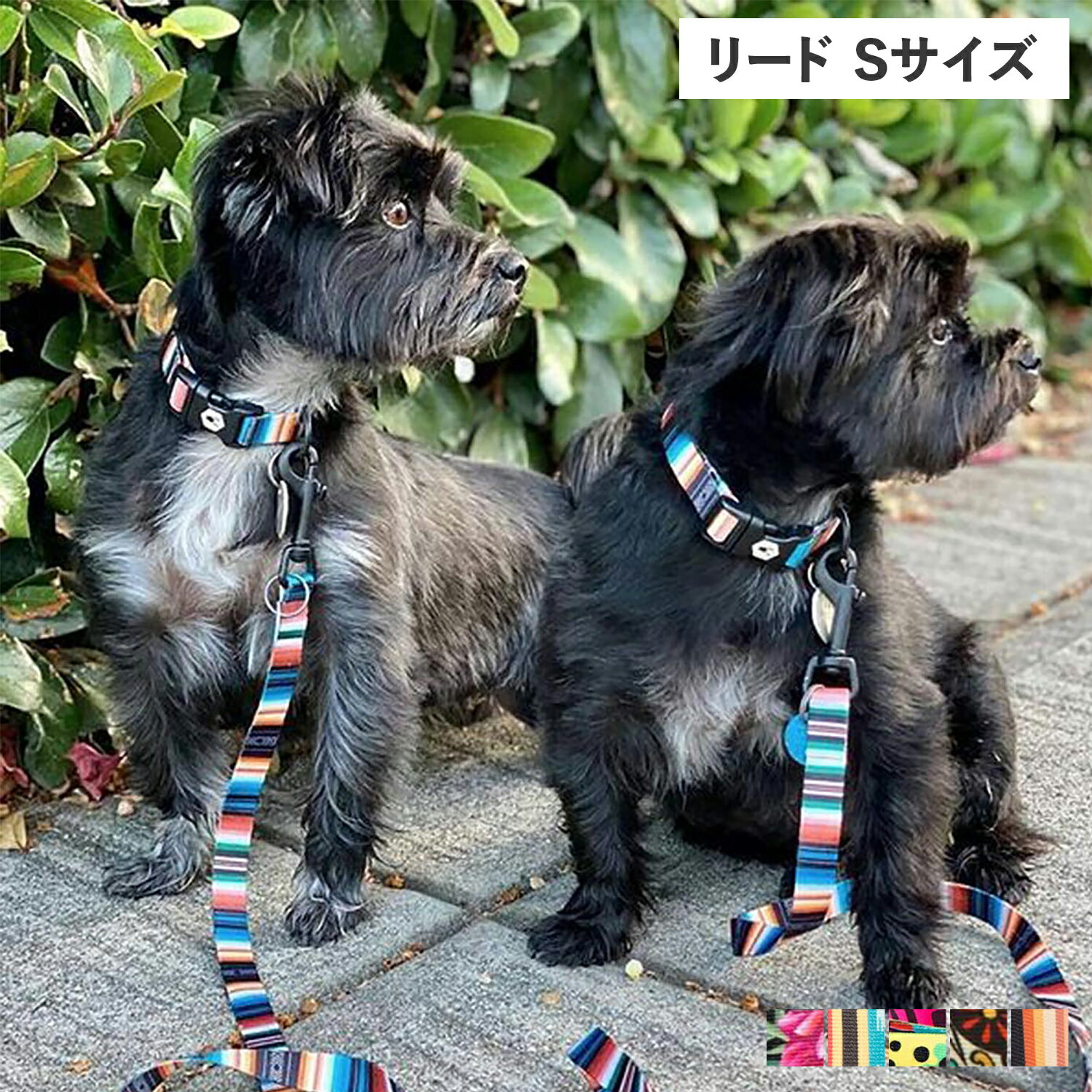  WOLFGANG LEASH ウルフギャング リード 小型犬用 Sサイズ リーシュ