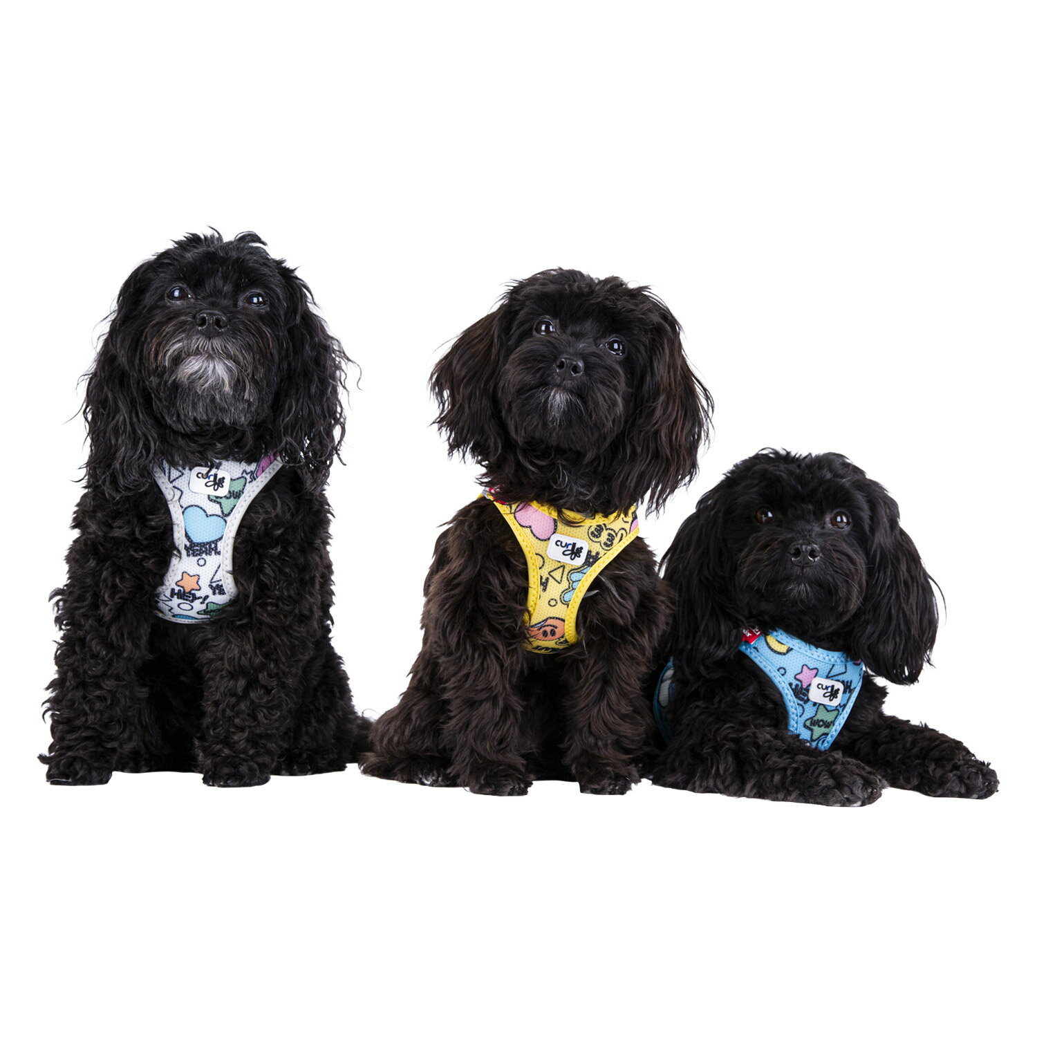 �ں���1000��OFF�����ݥ�ȯ����� Curli CLASP/VEST AIR MESH HARNESS �����꡼ ���� �ɥå������� �ϡ��ͥ� ƹ�� �ɥå��٥��� ���饹�� 3XS-2XS �������б� XS-S �淿���б� M-XL �緿���б� �̵� Ķ����