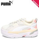 PUMA WNS BLSTR GLOSSY プーマ スニーカー ウィメンズ ブラスター グロッシー レディース 厚底 グレー 396096-02