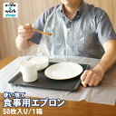 食事エプロン 介護 大人用 使い捨て クリア お試し1箱 50枚入り×1箱 フリーサイズ 袖なし 紐タイプ 医療 介護用 感染症対策 簡易エプロン ディスポエプロン お試し購入