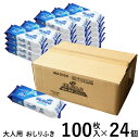 \24個セット!2400枚/ 大人用 おしりふき 100枚入 レギュラーサイズ 200×220mm ケース販売 介護用 介助用 介護施設 在宅介護 トイレに流せ...