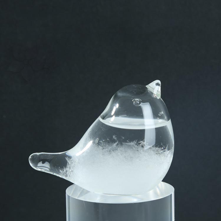 ストームグラス 天気ボトル ストームグラス テ...の紹介画像2