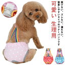 オムツカバー 通院 マナーパンツ おむつ 生理パンツ サニタリーパンツ 散歩 おでかけ ヒート用 パンツ サニタリーショーツ マナーパンツ 生理用 下着 送料無...