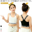 子供用 送料無料 女の子 キッズ ファーストブラ ジュニアブラ ハーフトップ 3枚セット 女子 英字 小学生 中学生 インナー 下着 Y字 3枚セット ガールズ...