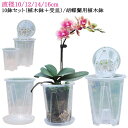 受皿付き 植木鉢 プラスチック 10鉢セット 10鉢セット 胡蝶蘭の植え替え 植木鉢 蘭の鉢 胡蝶蘭鉢 洋蘭鉢 穴付き 透明 セット オーキッドポット 屋内 屋外 鉢 観葉植物 多肉植物 植え替え 育苗ポット プランター 保育園ポット