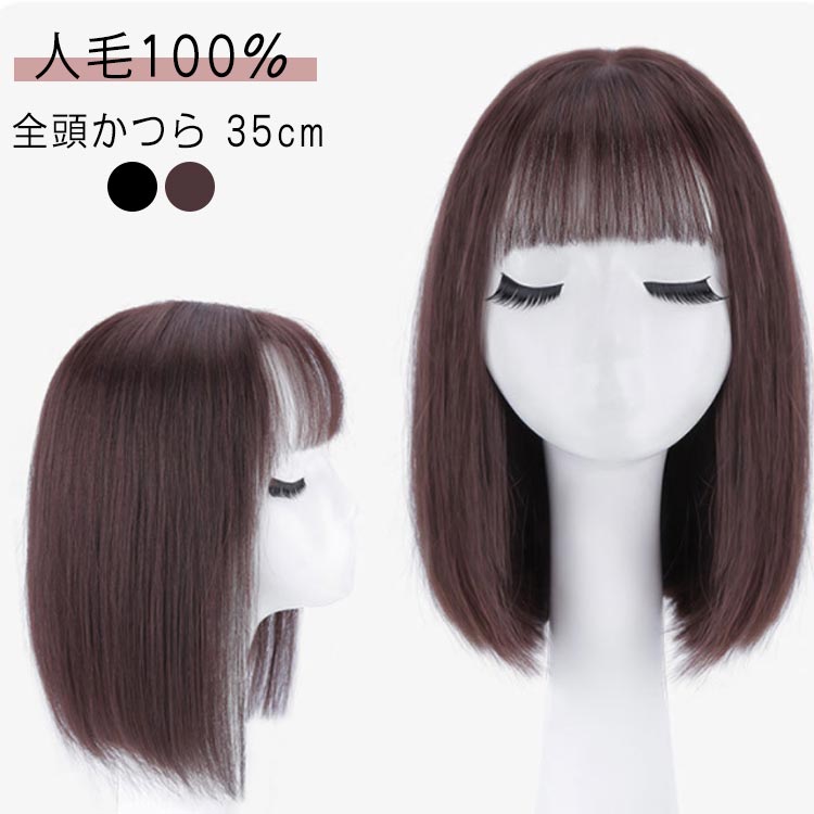 女性 人毛100% ミディアム かつら フルウィッグ 医療用 フル ウィッグ 35cm ヘア カール 白髪 コスプレ ウィッグ ウィッグ レディース ロング 人毛 自然 ストレート 35cm ふかし 大人 黒髪 かつら 抗がん剤 レディース ミディアム 白髪隠し 薄毛