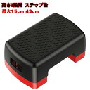 有酸素運動 昇降 最大15cm 2段 踏み台 昇降台 シェイプアップ 初心者 43cm ミニサイズ 踏み台 2段階調整 オシャレ 昇降運動 スローステップ トレ...