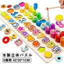 知育玩具 学習玩具 おもちゃ 型はめパズル 木のおもちゃ 色の認識 数字パズル 形の認知 木製玩具 木製パズル ちいく玩具 指先訓練 数学力アップ 女の子 男の...
