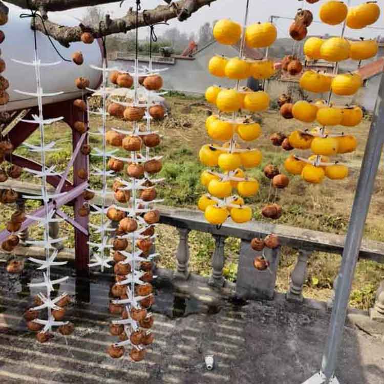 干し柿 干し柿クリップ 吊るし柿用ラック 20個入り 柿吊り器具 40個入り 柿干しハ...