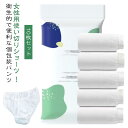 使い捨てショーツ 女性用下着 レディースパンツ 生理用 マタニティインナー 10枚入り 産前 産後 旅行用インナー 妊娠 出張下着 入院 衛生的下着 個包装パンツ 携帯便利 介護 避難 防災 軽量パンツ 通気性 非常用 ショーツ