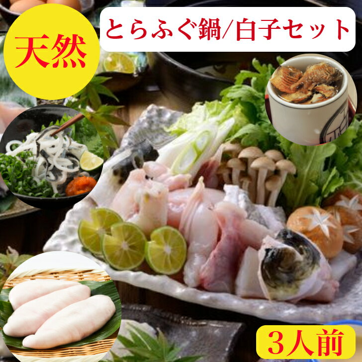 白子 とらふぐ鍋 天然　とらふぐ白子　セット　3人前　父の日　送料無料【とらふぐ】ぶつ身500g　とらふぐ白子　150g　ひれ　3枚遠州灘産【天然とらふぐ】ちり鍋【ふぐ鍋】ふぐ　白子　てっちり　希少うまみ濃厚な天然とらふぐ2-3キロ級のみを厳選　お祝い　海鮮ギフト