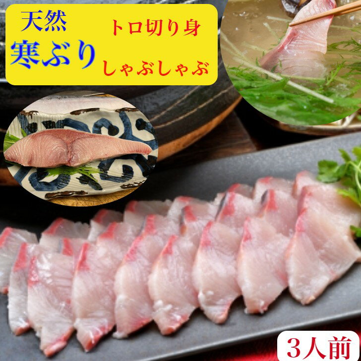 ぶり【ぶりしゃぶ】天然　ブリ　鰤　トロ　刺身　ブリ【切り身】セット【送料無料】北海道産　ぶりトロ200g＋トロ【ぶり切り身】200g前後天然の旨みとコク2人前　10キロ級【ぶり】野菜を用意するだけで簡単　特製出汁でポン酢柚子胡椒　紅葉おろし レシピ付　お祝　ギフト