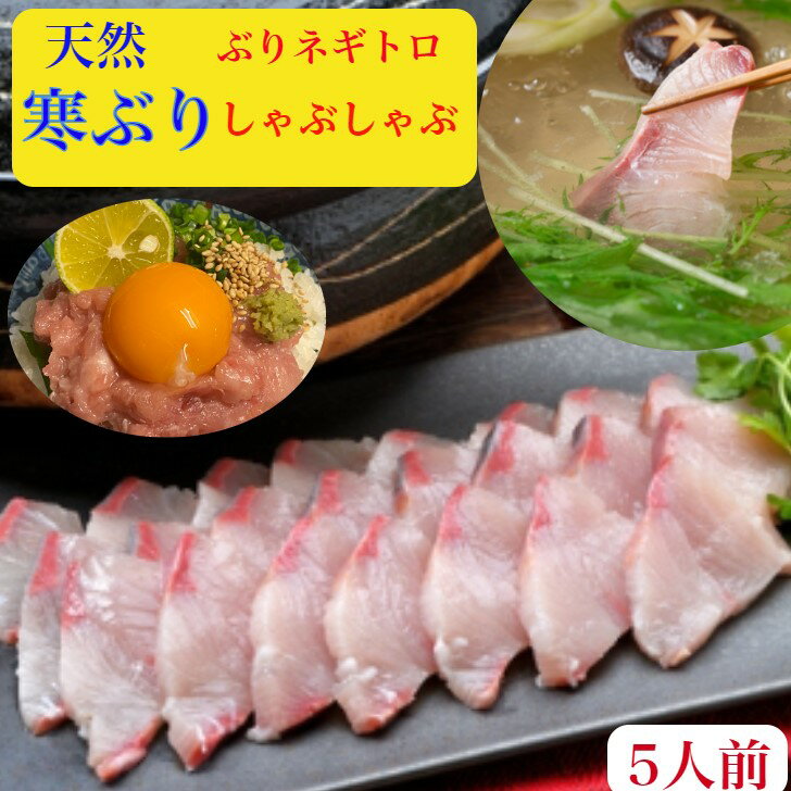 ぶりしゃぶ ブリしゃぶ セット 天然 ぶり 鰤 ブリ ねぎとろ 刺身 セット【送料無料】福井産 寒ブリ 400g【寒ぶり】ラーメン旨みコク3〜4人前10キロ級 寒ブリ 野菜を用意するだけで簡単に料亭の…