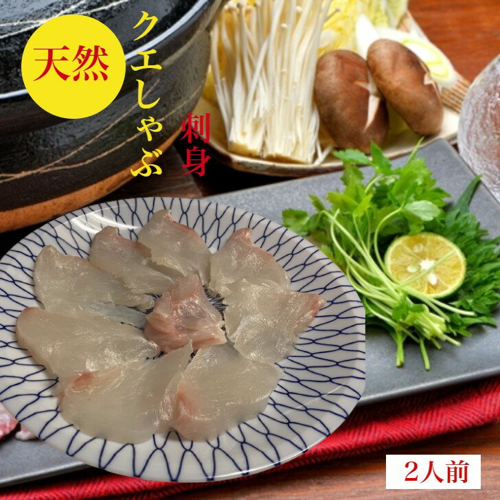 天然　クエしゃぶ　クエ　クエ刺身　240g（小分け　120g前後　刺身　×2皿）ひれ2枚　〆の　くえ　らーめん400g　ポン酢　紅葉おろし　特製出汁　レシピ付　2人前　野菜を用意するだけ　クエ鍋　送料無料　海鮮　詰め合わせ　贈答品　プレゼント　御祝