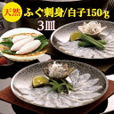 白子 ふぐ刺し　ふぐ刺身【天然】+【とらふぐ白子】セット　送料無料 お取寄せ　厚切り【てっさ】3皿で240g【ふぐ　白子】150g3ー4人前【フグ刺身】80g×3皿】合計240g希少高級とらふぐ　の次に旨い【真ふぐ】使用　柚子ポン酢　簡単レシピ付　御祝　ギフト