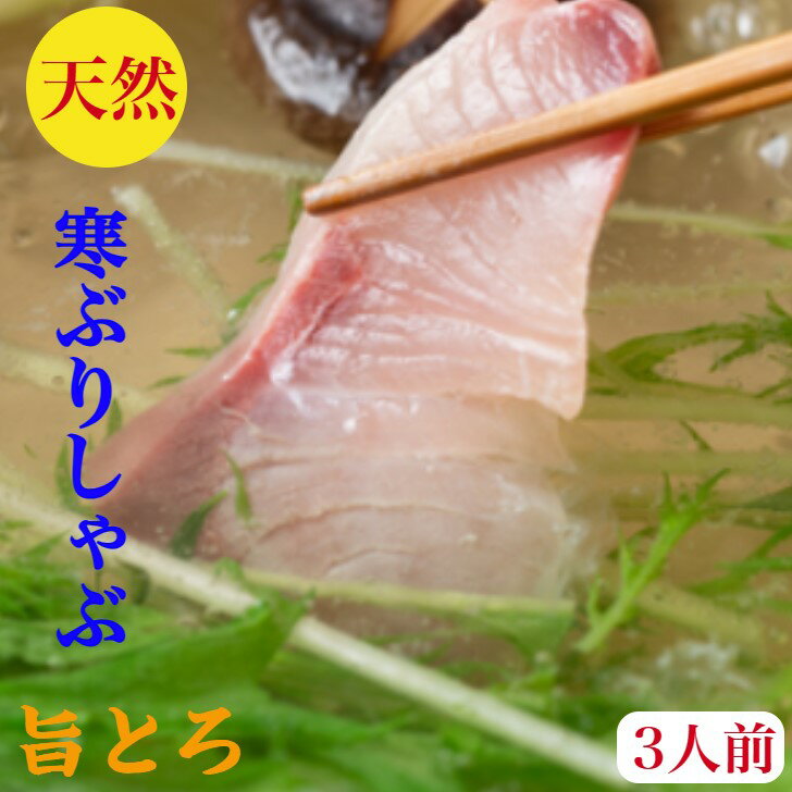 ぶりしゃぶ ブリしゃぶ セット 鰤 ぶり 天然 しゃぶ 刺身 3人前　父の日【寒ブリ】福井産トロ400g天然の旨みとコク血合い処理済10キロ級【寒ぶり】厳選【送料無料】しゃぶしゃぶ　野菜を用意するだけで簡単に料亭の味　特製出汁ポン酢ラーメン400gレシピ　お祝　ギフト