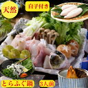 天然【とらふぐ鍋 】とらふぐ白子 セット 送料無料 3人前 【とらふぐ】ぶつ身500g とらふぐ白子 150g とらふぐひれ 3枚【天然とらふぐ】ちり鍋セット【...