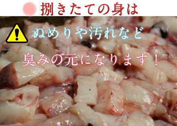 【送料無料】北海道産【あんこう鍋セット】500g2-3人前【御歳暮】板前による霜降りの完全下処理済でクセがない【あんこう鍋】みそ仕立ての出汁付で　〆の【あんこう】ラ—メンと【鮟鱇】うどん、雑炊の食べ比べ　御祝い　プレゼント　のし