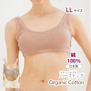 オーガニックコットン ブラジャー ハーフトップ LLサイズ 105155-1 / Leaf Cube Organic エチュールブラ なめらかリラックスブラ / オーガニック コットン 下着 綿 ブラ ブラジャー 綿100% ノンワイヤー 楽 スポーツブラ 寝る時 締め付けない わたぼうし