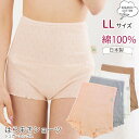 オーガニックコットン 下着 腹巻ショーツ LLサイズ 綿100% / Leaf Cube Organic シュガーレングス ショーツ パターンメッシュ 1051...