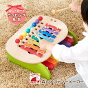 エドインター 森のあそび道具シリーズ 森のメロディメーカー GENI ジェニ 知育玩具 木育 木のおもちゃ 出産祝い プレゼント おもちゃ 木 色 音 鍵盤 鉄...