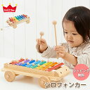 エドインター おもちゃ 知育玩具 シロフォンカー 鉄琴 楽器
