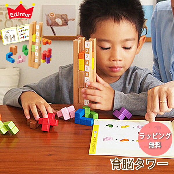 【ラッピング無料】 エドインター 知育玩具 育脳タワー エド