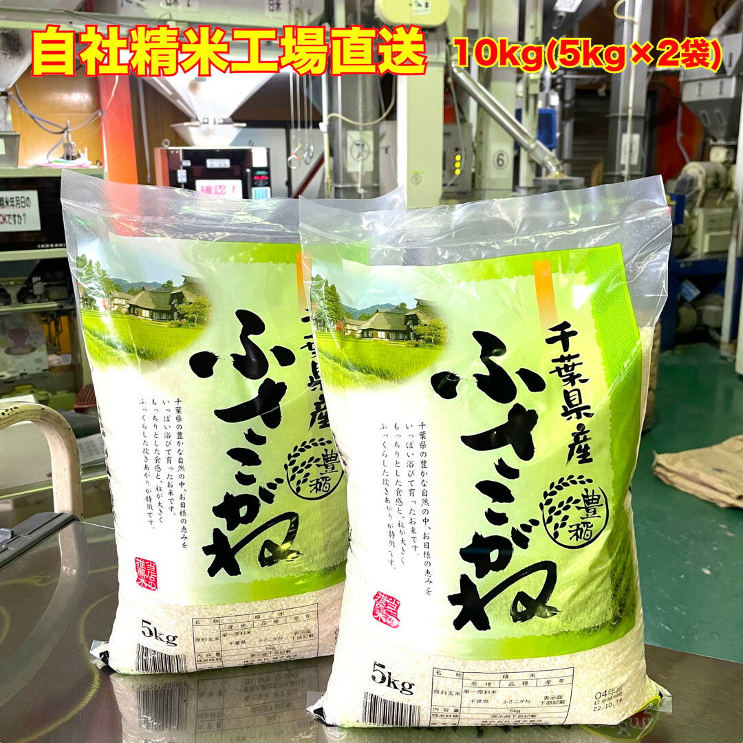 【令和7年産】 白米 千葉県産 ふさこがね 10kg 5kg×2 送料無料