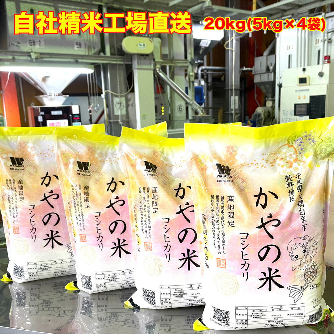 【令和4年産】 白米 千葉県産 コシヒカリ 特A米 かやの米 産地限定米 20kg ...